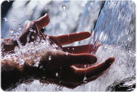 Water management practices+image