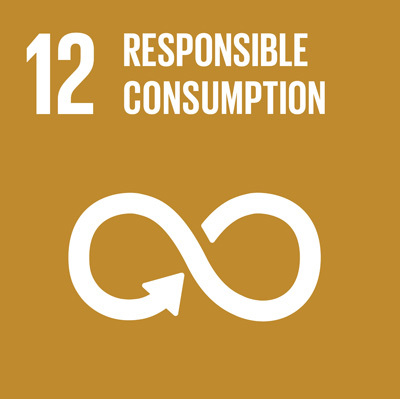 SDG12: Responsible Consumption and Production+image