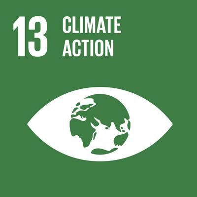 SDG13: Climate Action+image