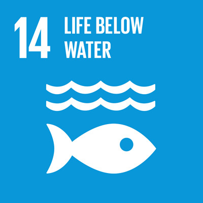 SDG14: Life Below Water+image