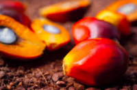 WWF Palm Oil Scorecard 2013+image