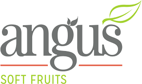 Angus Soft Fruits+Image