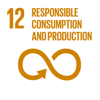Embedding the SDGs into curriculum - SDG12: Responsible Consumption and Production+Image