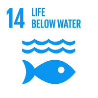 Embedding the SDGs into curriculum - SDG14: Life Below Water+Image