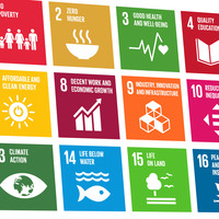 Royal Holloway 2019 Research: SDG3 & SDG16+Image