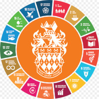 Royal Holloway 2019 Research: SDG5 and SDG8+Image